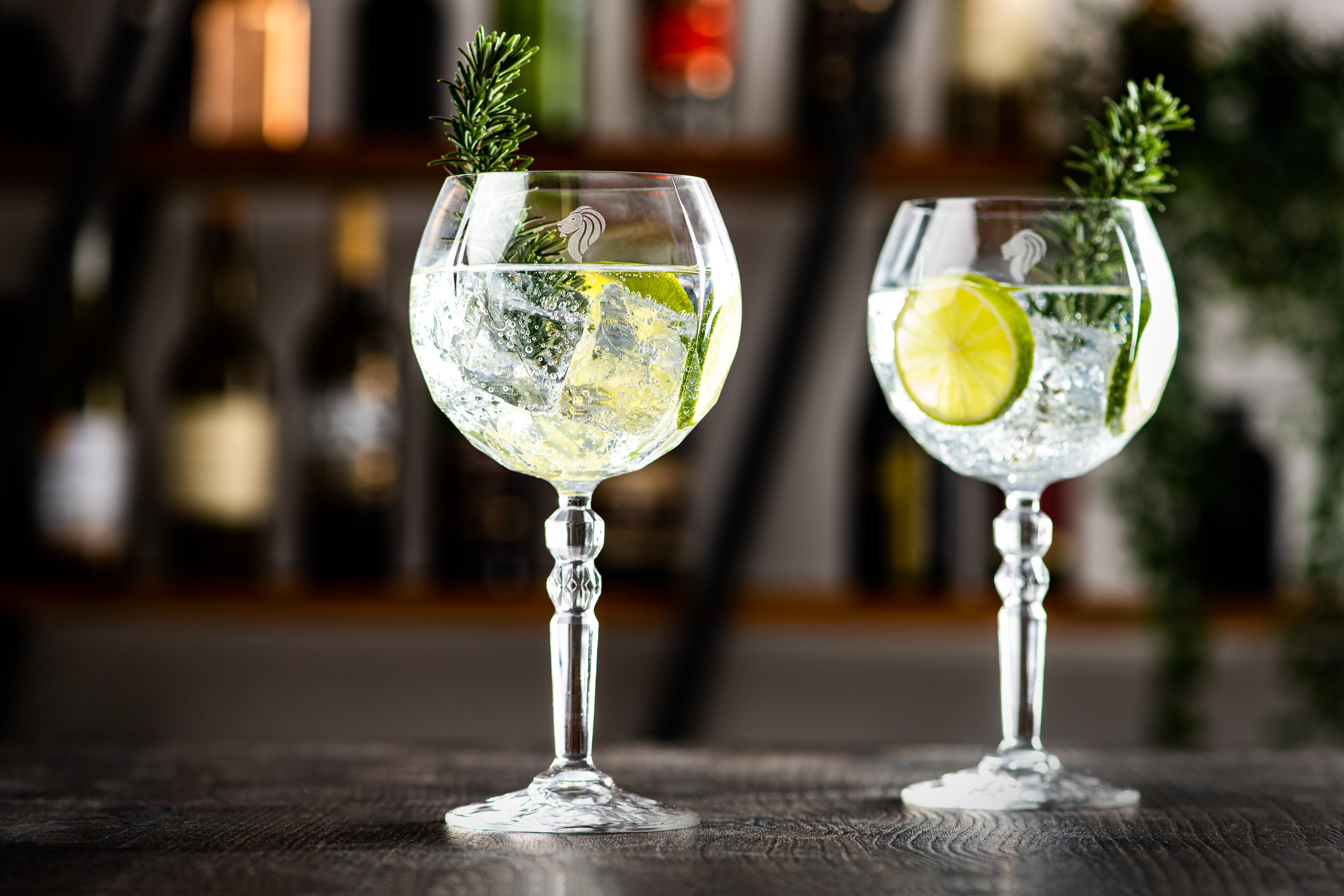 Gin Tonic Glazen Geschenkset